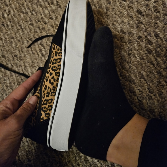 Cheetah  vans - Picture 3 of 5